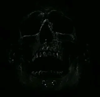 Sticker torchebosiya - 2