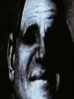 Sticker torchebosiya - 6