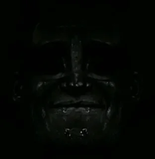 Sticker torchebosiya - 1