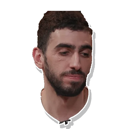 человеческое лицо человеческая борода волосы на лице