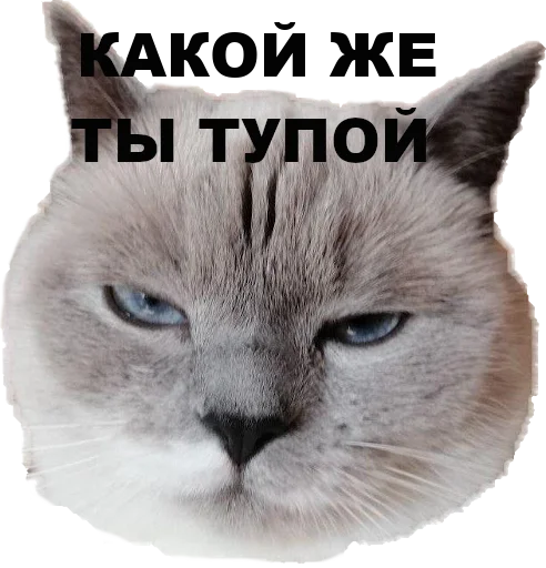 Sticker chudischedark - 1