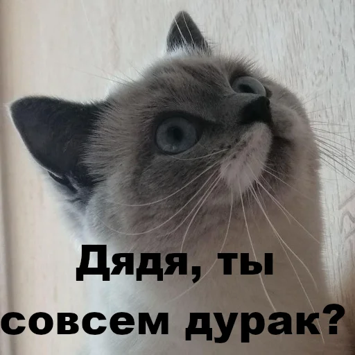 Sticker chudischedark - 1