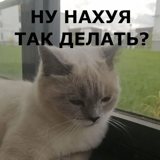 Sticker chudischedark - 1