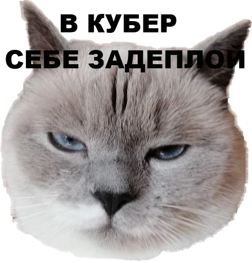 Sticker chudischedark - 1