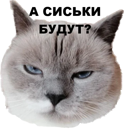 Sticker chudischedark - 1