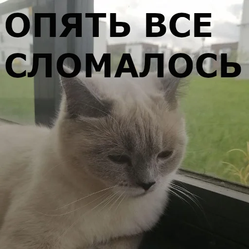 Sticker chudischedark - 1