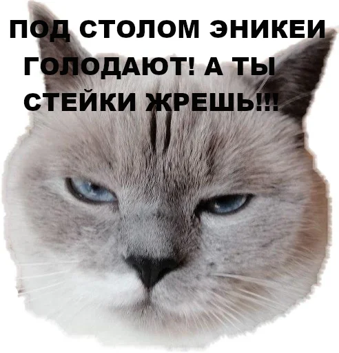 Sticker chudischedark - 1