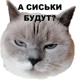 Sticker chudische - 5