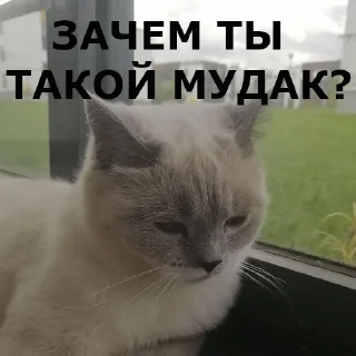 Sticker chudische - 3