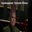 Sticker Chumadim pack by Insurance - 11