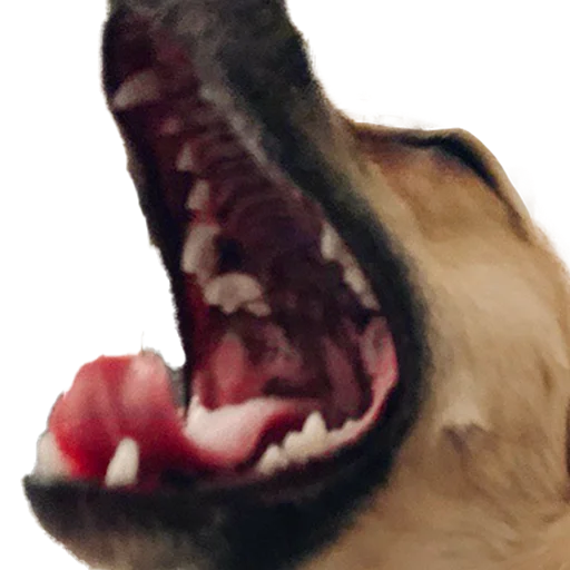 Sticker chunyadog - 1