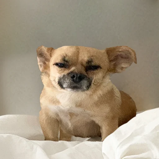 Sticker chunyadog - 1