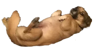 Sticker Чуня клеветка nixelpixel - 11