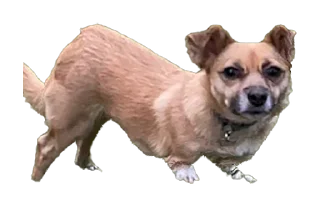 Sticker Чуня клеветка nixelpixel - 9