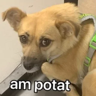 Sticker Чуня клеветка nixelpixel - 2