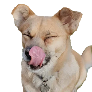 Sticker Чуня клеветка nixelpixel - 0