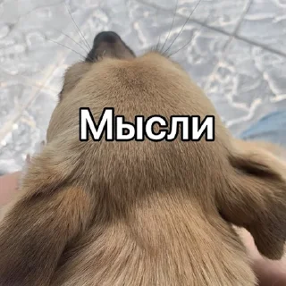 Sticker Чуня клеветка nixelpixel - 6