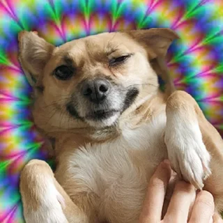 Sticker Чуня клеветка nixelpixel - 5