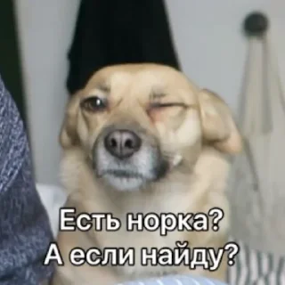 Sticker Чуня клеветка nixelpixel - 3