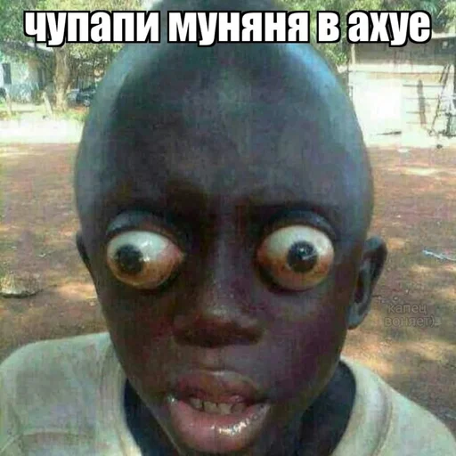 человеческое лицо лоб щека