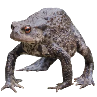 Стикер Vitalik_power - 7