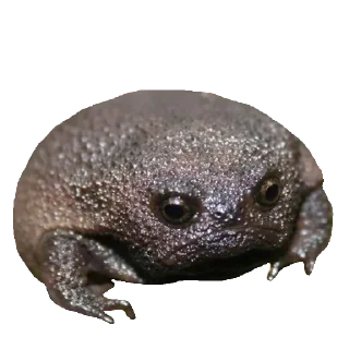 Стикер Vitalik_power - 5