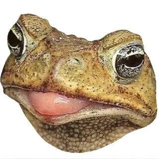 Стикер Vitalik_power - 2