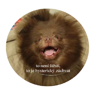 Sticker ChurmaKusaetLva - 1