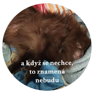 Sticker ChurmaKusaetLva - 9