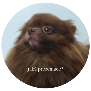 Sticker ChurmaKusaetLva - 2