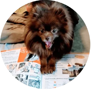 Sticker ChurmaKusaetLva - 0