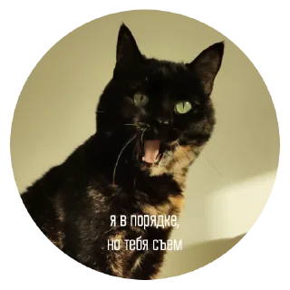 Sticker ChurmaKusaetLva - 8