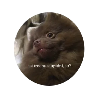 Sticker ChurmaKusaetLva - 7