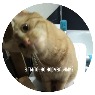 Sticker ChurmaKusaetLva - 11