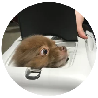 Sticker ChurmaKusaetLva - 6