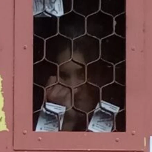 pattern honeycomb window