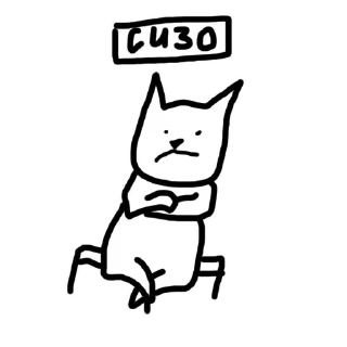 Sticker 🙈Crazy Cat @stickersb2b - 9