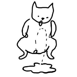 Sticker 🙈Crazy Cat @stickersb2b - 5