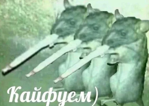 Стикер ChyoBlya by @fStikBot - 11