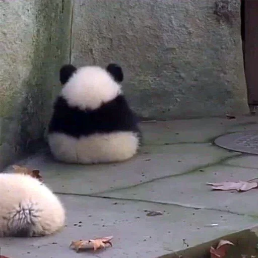 Стикер ChyoBlya by @fStikBot - 10