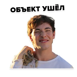 Стикер ChZO - 5