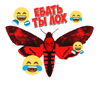 Стикер CICADA - 1