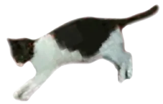 Sticker чиполла смол гитлер - 10