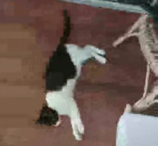 Sticker чиполла смол гитлер - 3