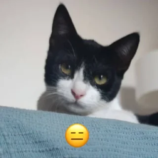 Sticker чиполла смол гитлер - 4