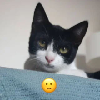 Sticker чиполла смол гитлер - 1