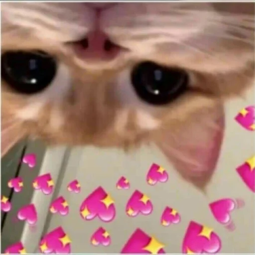 Sticker юкрейн мєм - 9