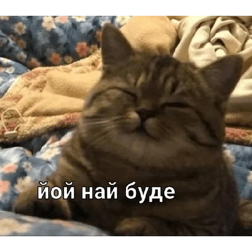 Sticker юкрейн мєм - 3