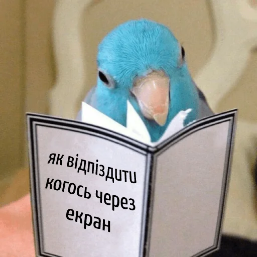 Sticker юкрейн мєм - 0