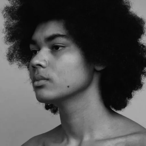 человеческое лицо Человек шиньон